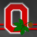 Ohio State Block O Icon