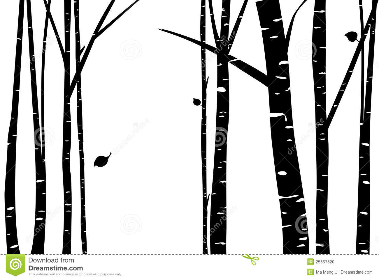 Silhouette of a Birch Tree with Leaves Silhouette of a Birch Tree with Leaves