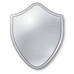 Silver Shield Icon