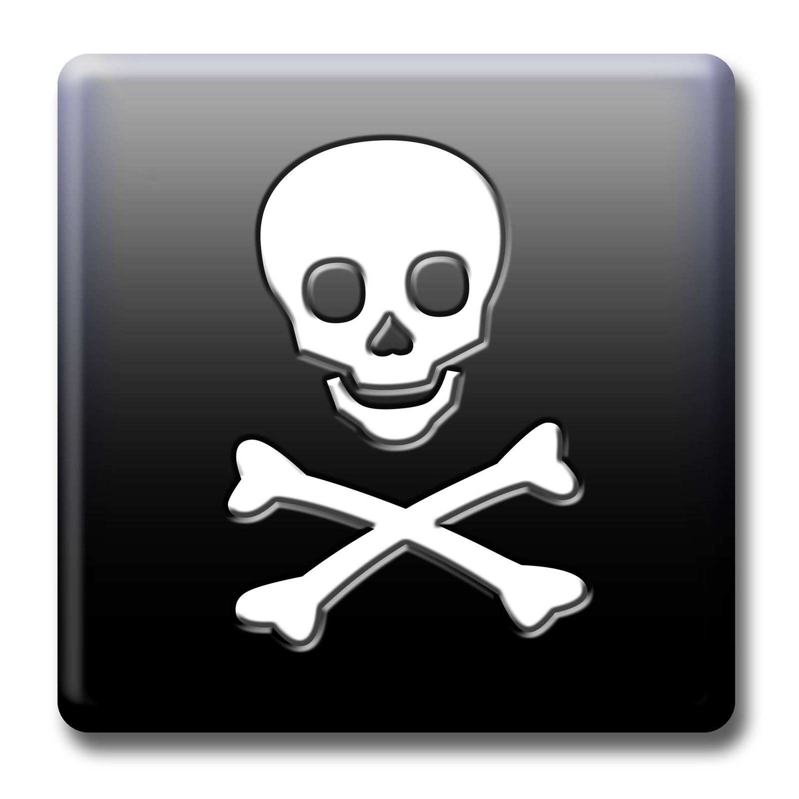 Skull and Crossbones Icon