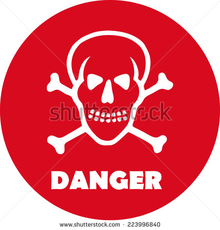 Skull Danger Icon