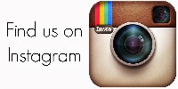 Follow Us On Instagram Button