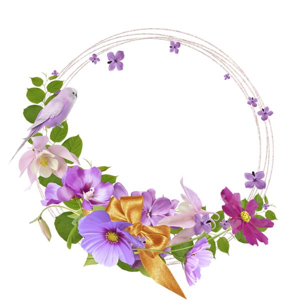 Transparent Frame Flowers Pink Transparent Frame Flowers Pink