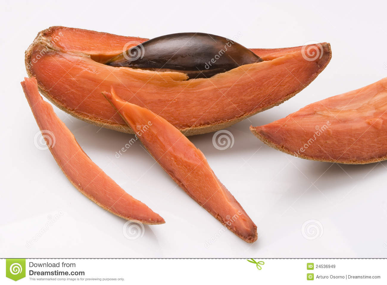 Tropical Fruit Mamey