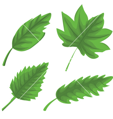 Vector Spring Leaves