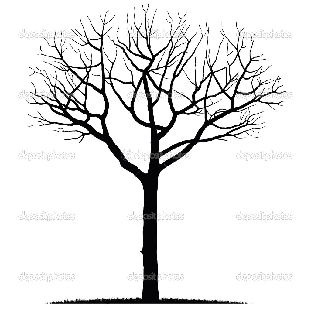 Bare Tree Drawing