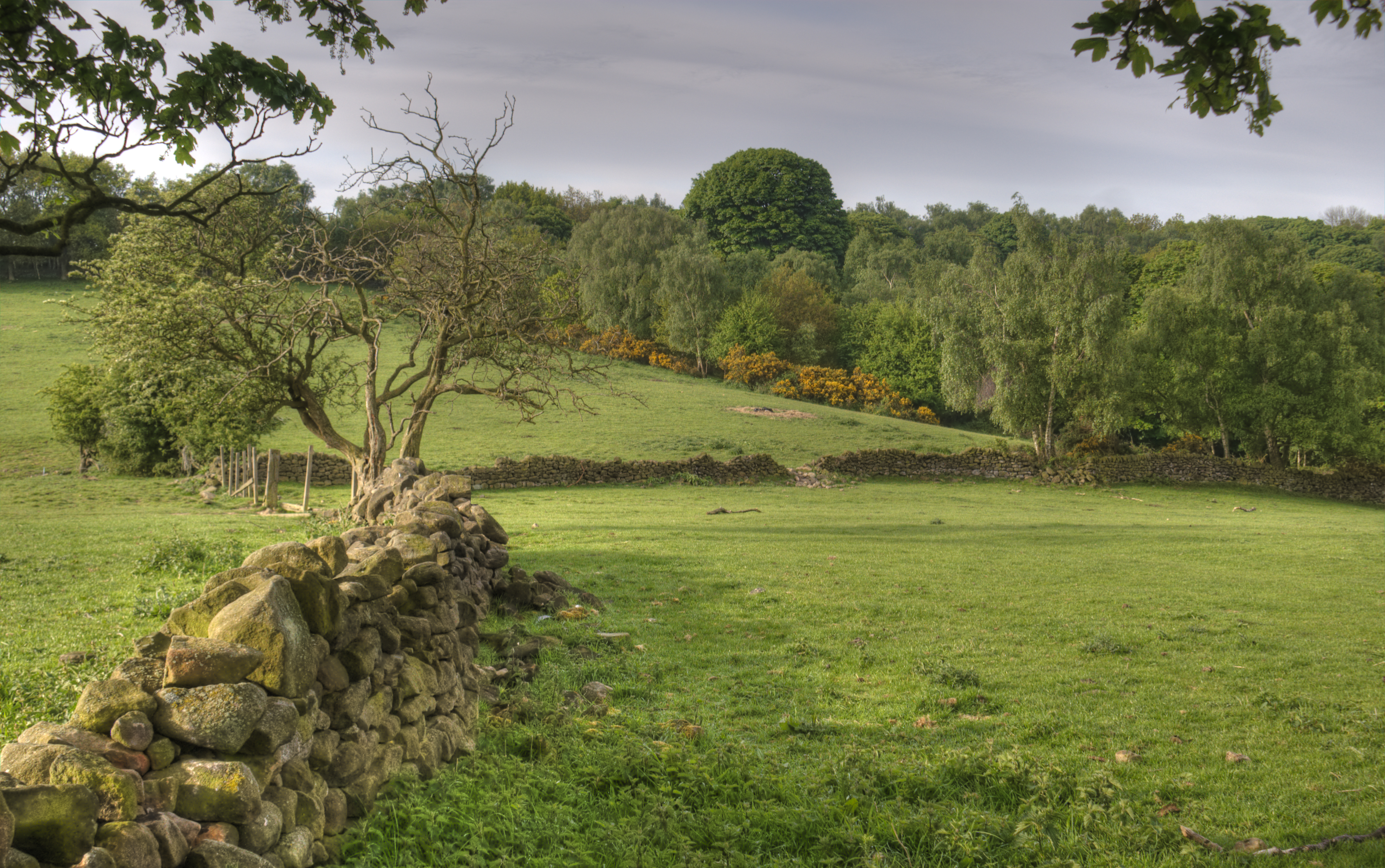 Derbyshire England Landscape