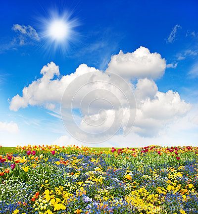 Dreamstime Stock Photos of the Sky