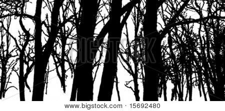 Forest Silhouette Vector