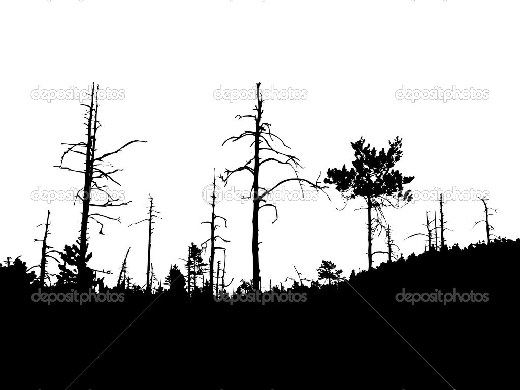 Forest Silhouette Vector