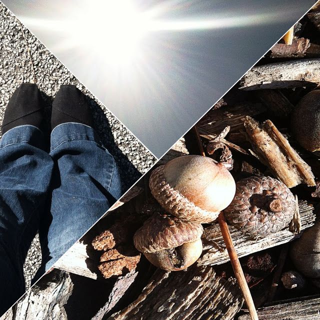 Free Photoshop Clipping Masks Free Photoshop Clipping Masks