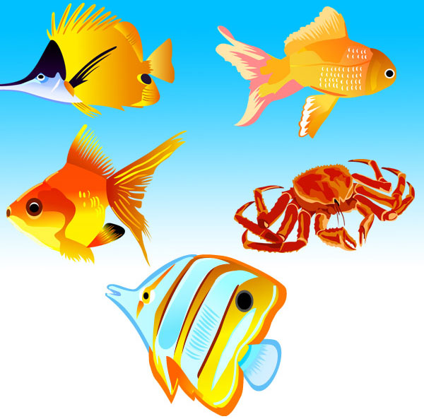 Free Vector Fish