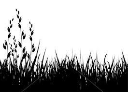 Grass Silhouette Vector Illustration