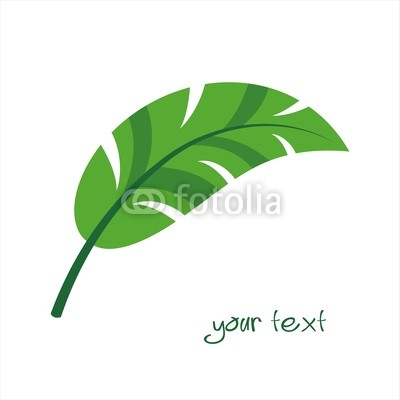 Green Leaf Logo Design