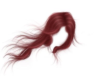 Hair for Photoshop PSD Files