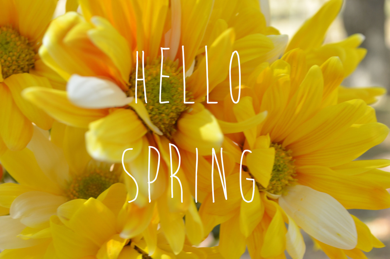 Hello Spring Tumblr
