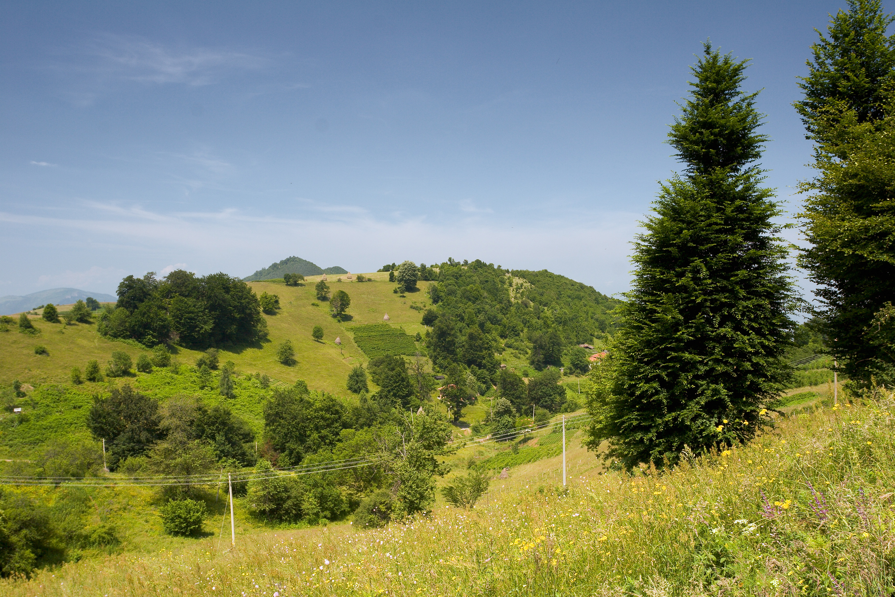 High Resolution Landscape Photography