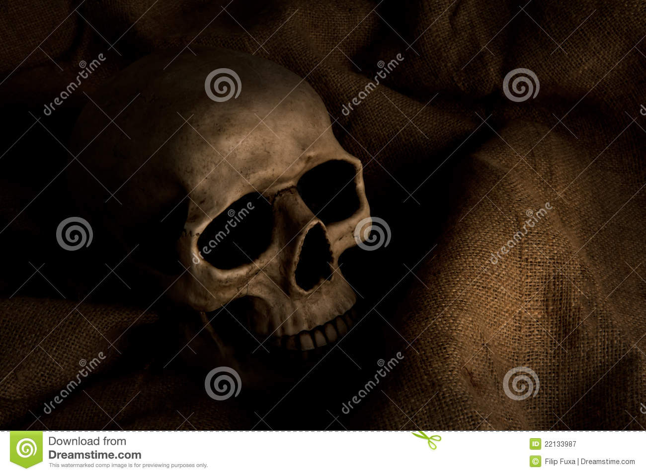 Horror Stock Images Royalty Free Horror Stock Images Royalty Free