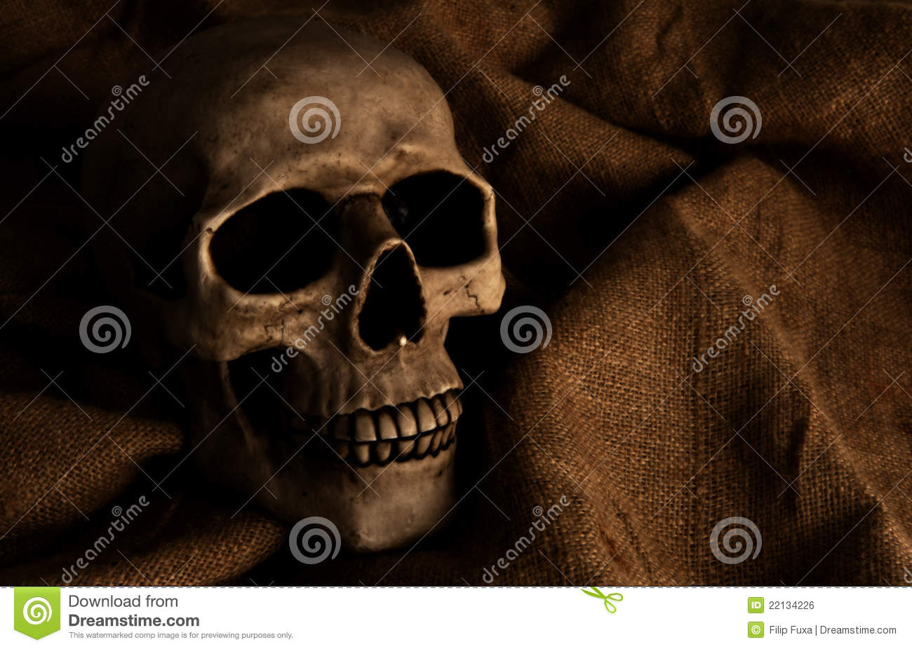 Horror Stock Images Royalty Free Horror Stock Images Royalty Free