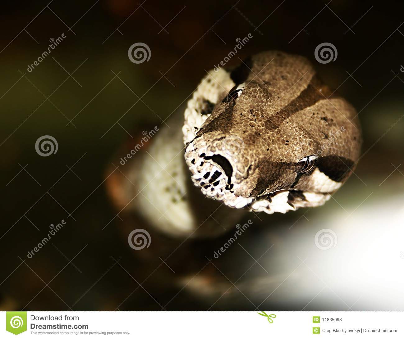 Horror Stock Images Royalty Free Horror Stock Images Royalty Free