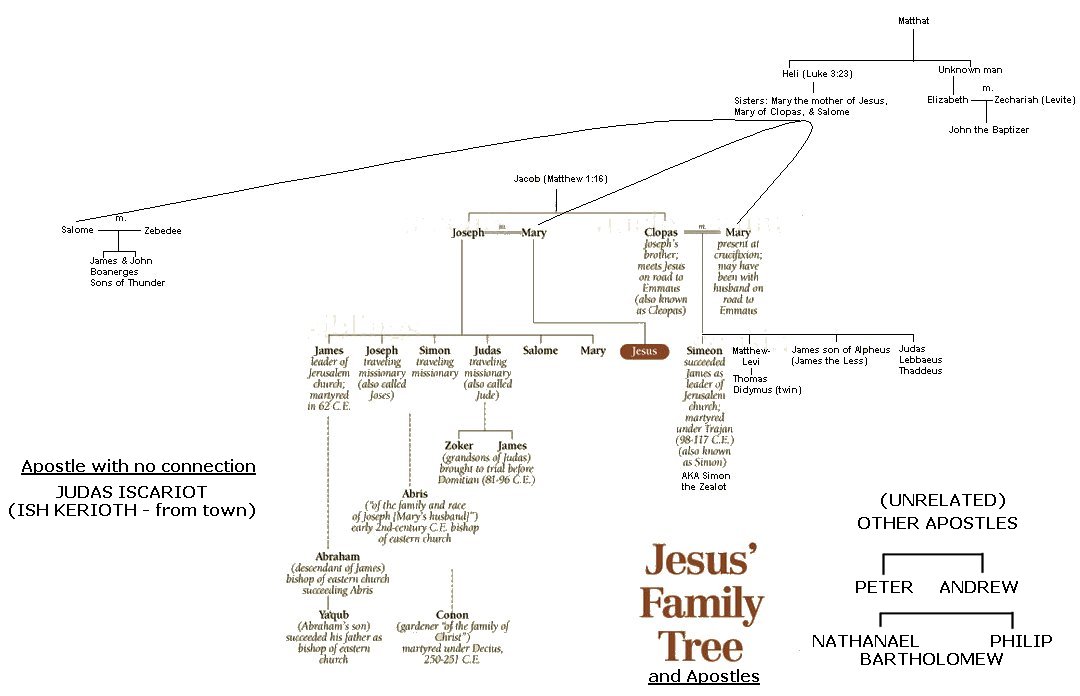 Jesus' Family Tree