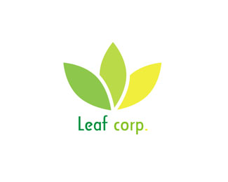 Leaf Logo Design Leaf Logo Design