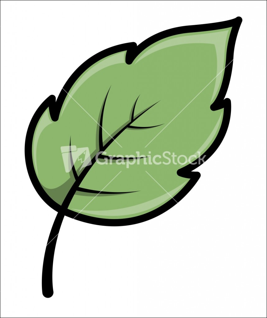 16 Simple Leaf Vector Images