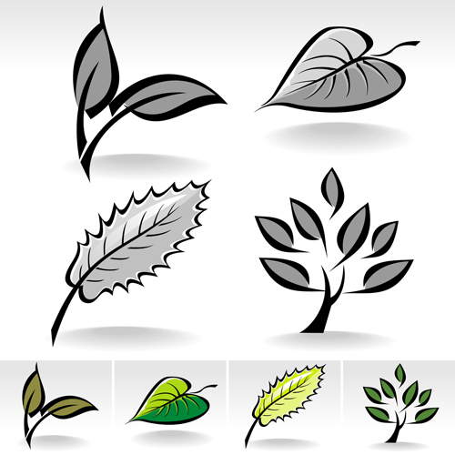 Leaves Vector Simple