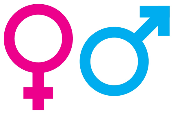 Male Female Gender Symbol