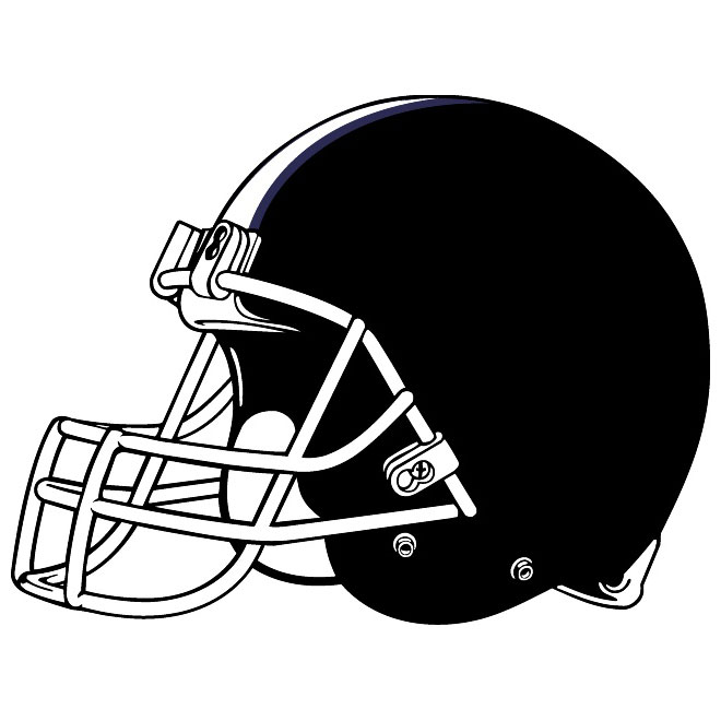 NFL Football Helmet Vector