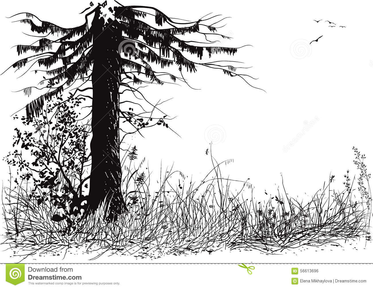 Pine Tree Forest Silhouette Vector