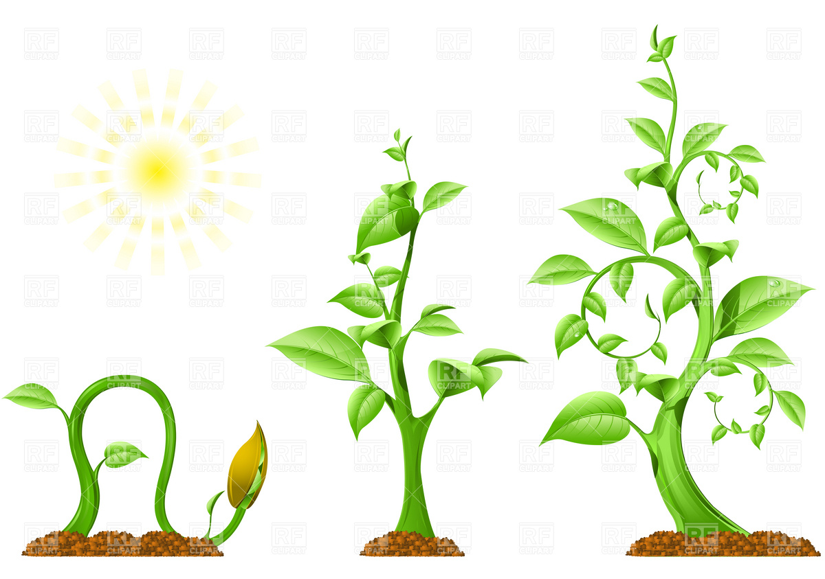 10 Growing Plant Vector Design Images