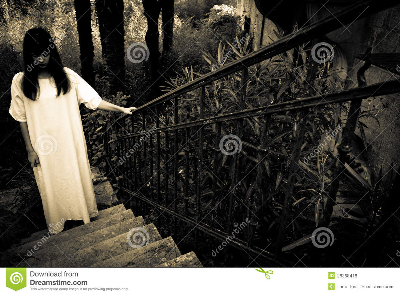 Scary Royalty Free Stock Images Scary Royalty Free Stock Images