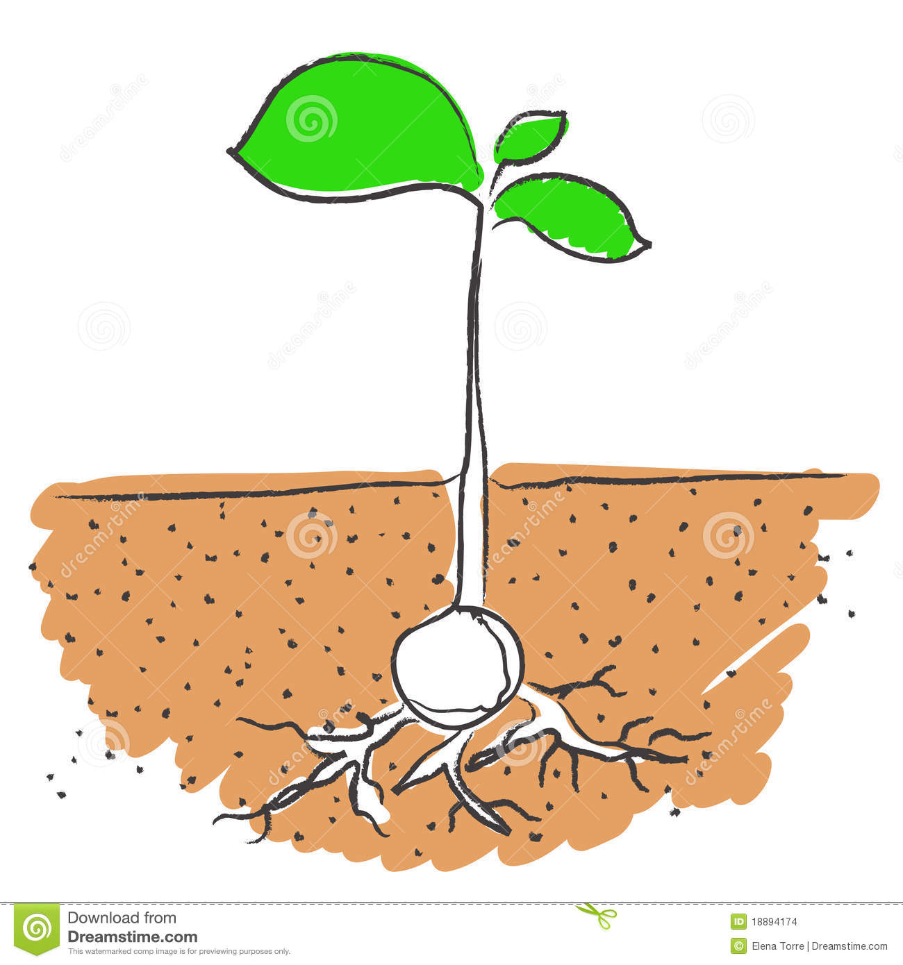 Seed Growing Clip Art