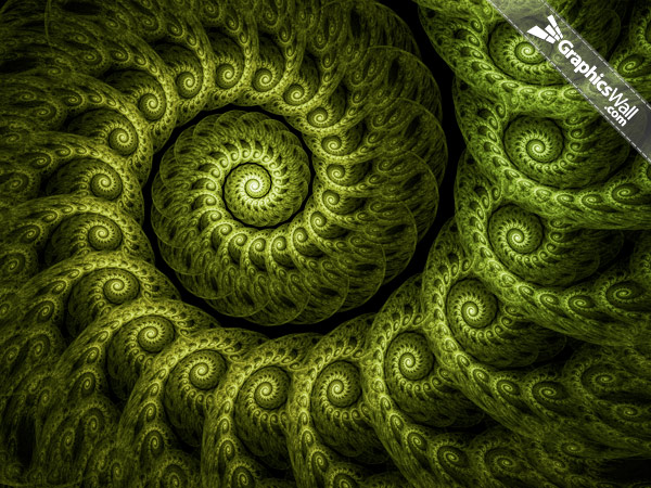 Spiral Fractal Graphics