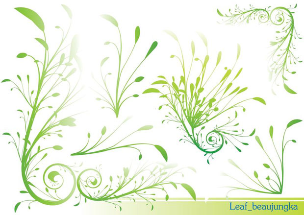 Swirls and Leaves Border