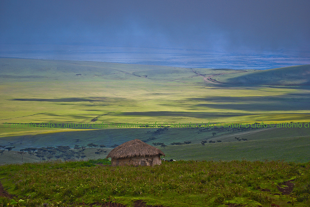 Tanzania Africa Landscape