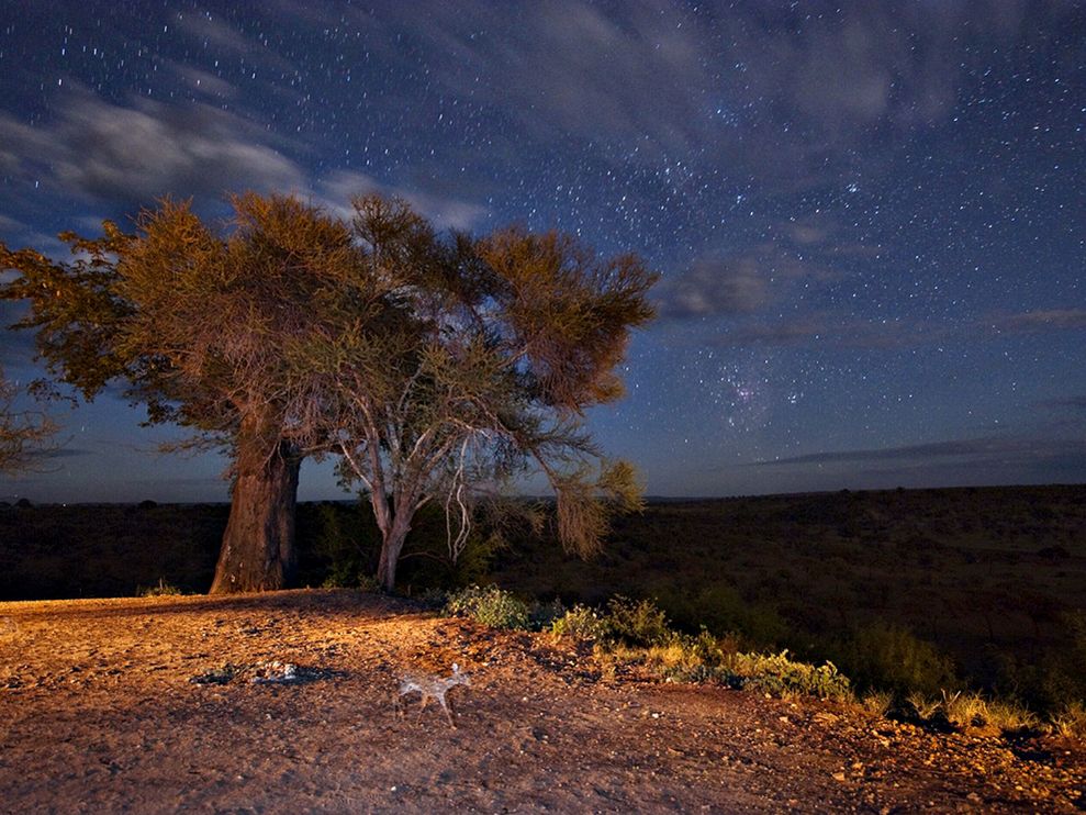 Tanzania Landscape Night