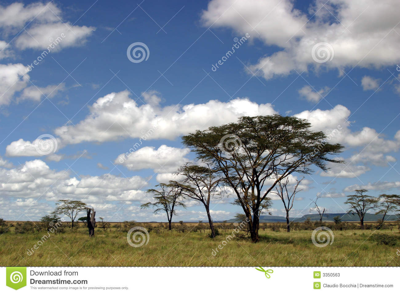 Tanzania Landscape Safari