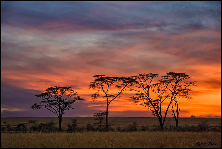 Tanzania Landscape