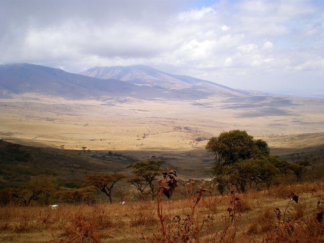 Tanzania Landscape