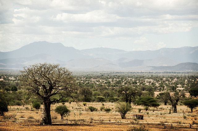 Tanzania Landscape