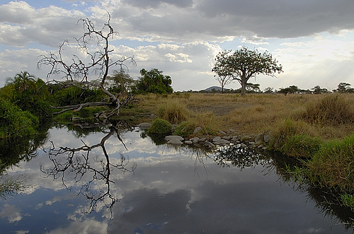 Tanzania Landscape