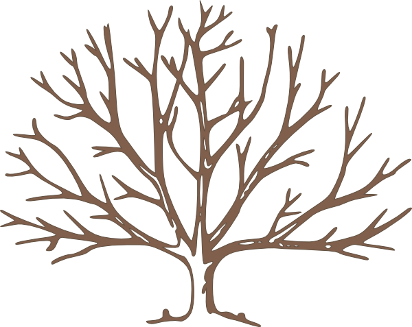 Tree without Leaves Clip Art