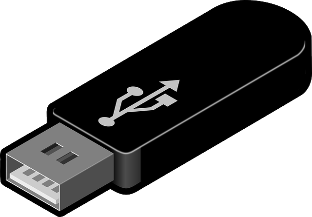 USB Memory Stick Clip Art