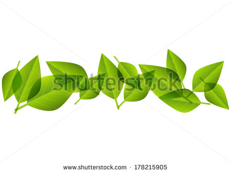 Vector Leaf Border Design