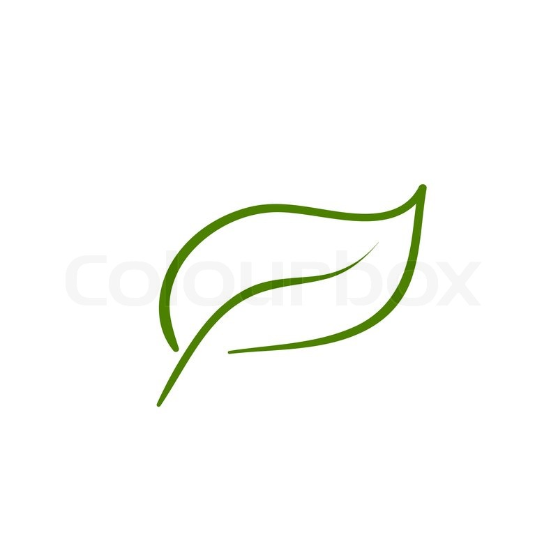 Vector Leaf Icon