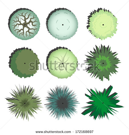 Vector Top View Trees Plans