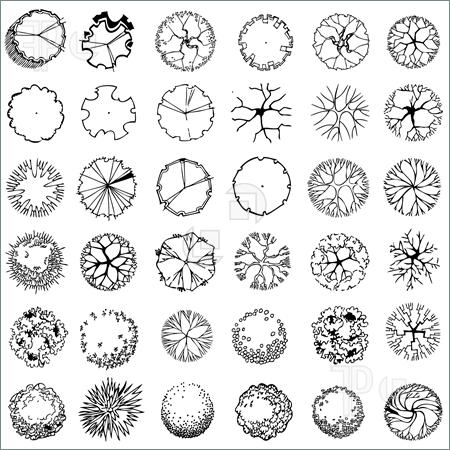 Vector Trees Plan View