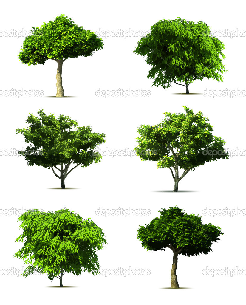 Vector Trees Plan View